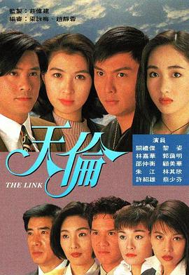 天伦1993第19集